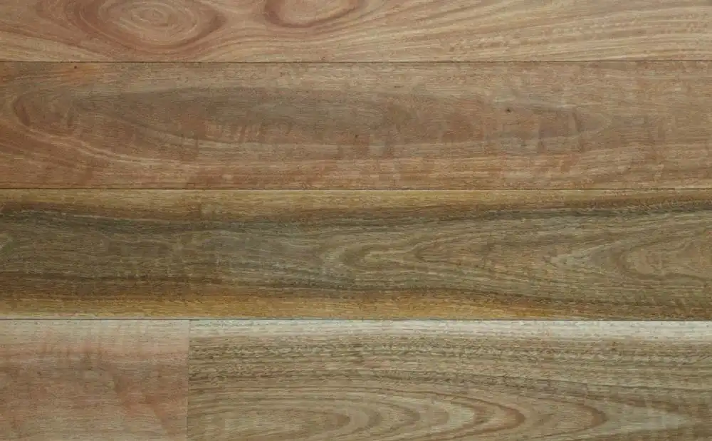 NSW Spotted Gum